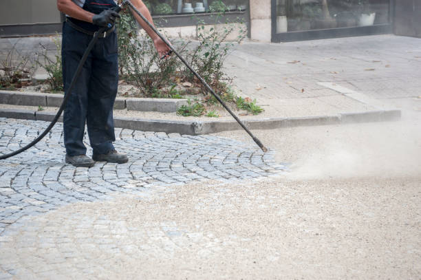 Best Sidewalk and Walkway Cleaning  in Swansea, IL