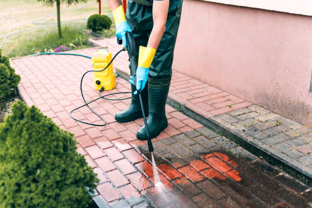 Best Fence Cleaning  in Swansea, IL