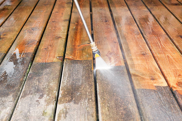 Best Rust Removal  in Swansea, IL